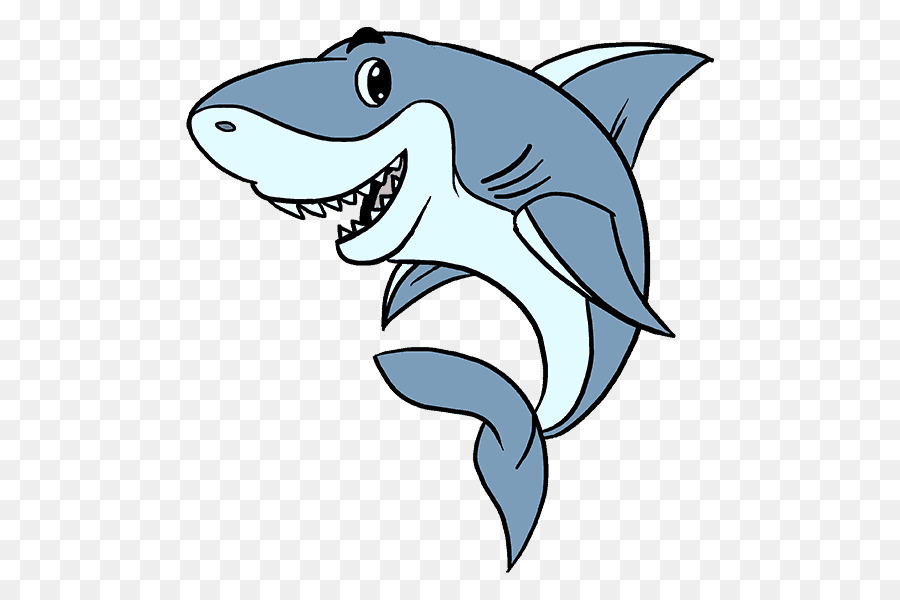 Great white shark Drawing - sharks png download - 678*600 - Free Transparent Shark png Download.