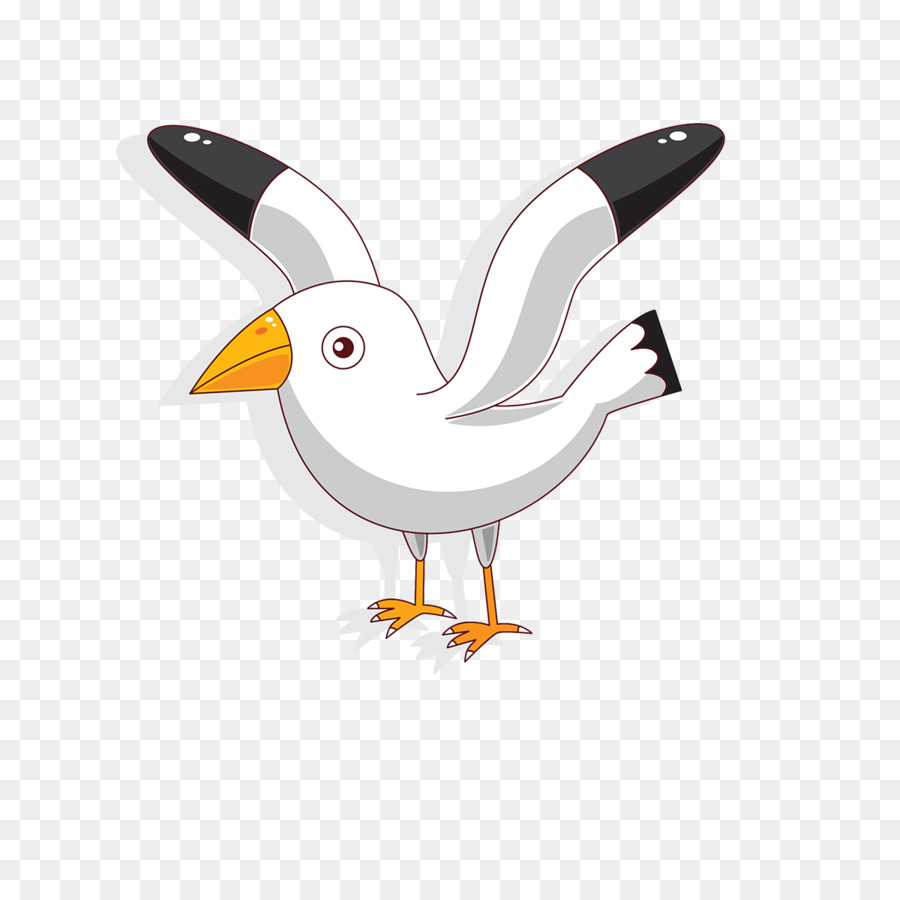 Cartoon Bird - Cartoon white seagull png download - 1200*1200 - Free Transparent Bird png Download.