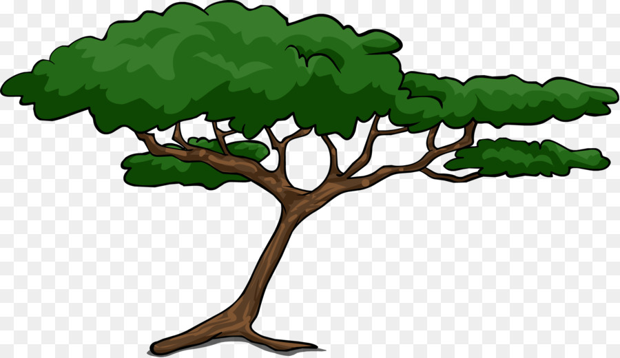 African Trees Wattles Acacia Clip art - cartoon tree png download - 2273*1312 - Free Transparent African Trees png Download.