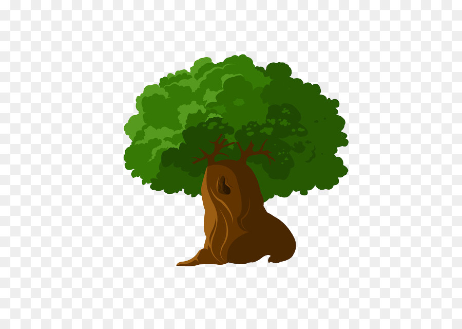 Tree Cartoon Illustration - Cartoon tree png download - 631*640 - Free Transparent Tree png Download.