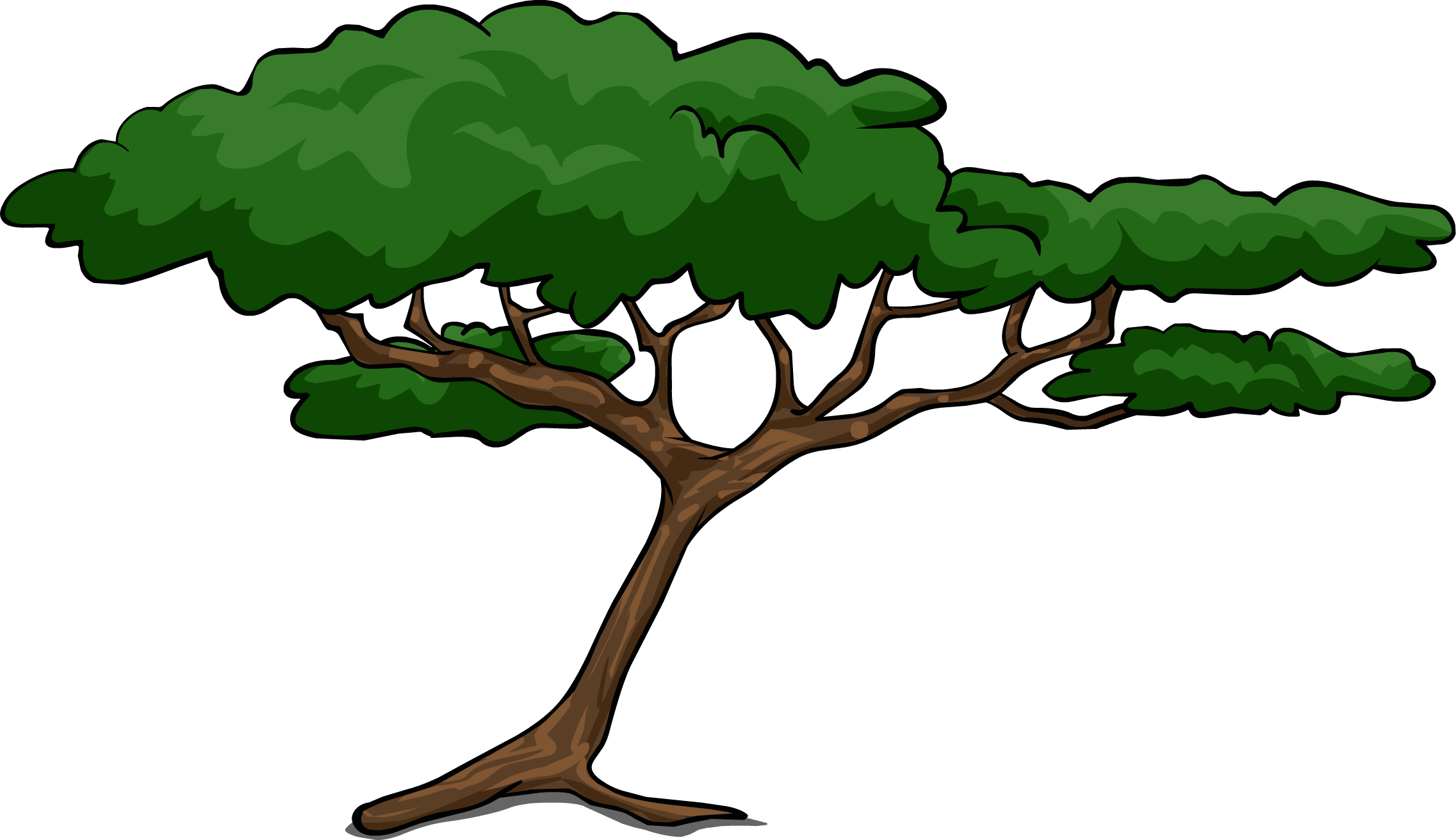 African Trees Wattles Acacia Clip art - cartoon tree png download