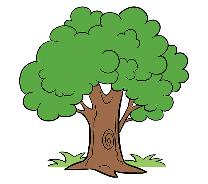 Drawing Cartoon Tree Clip art - tree-lined png download - 678*600 - Free  Transparent Drawing png Download. - Clip Art Library