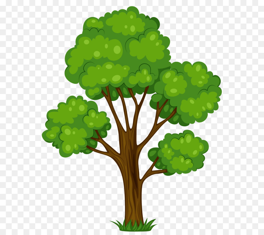 Tree Shrub Cartoon Clip art - Painted Green Tree PNG Clipart Picture png download - 3126*3842 - Free Transparent Tree png Download.
