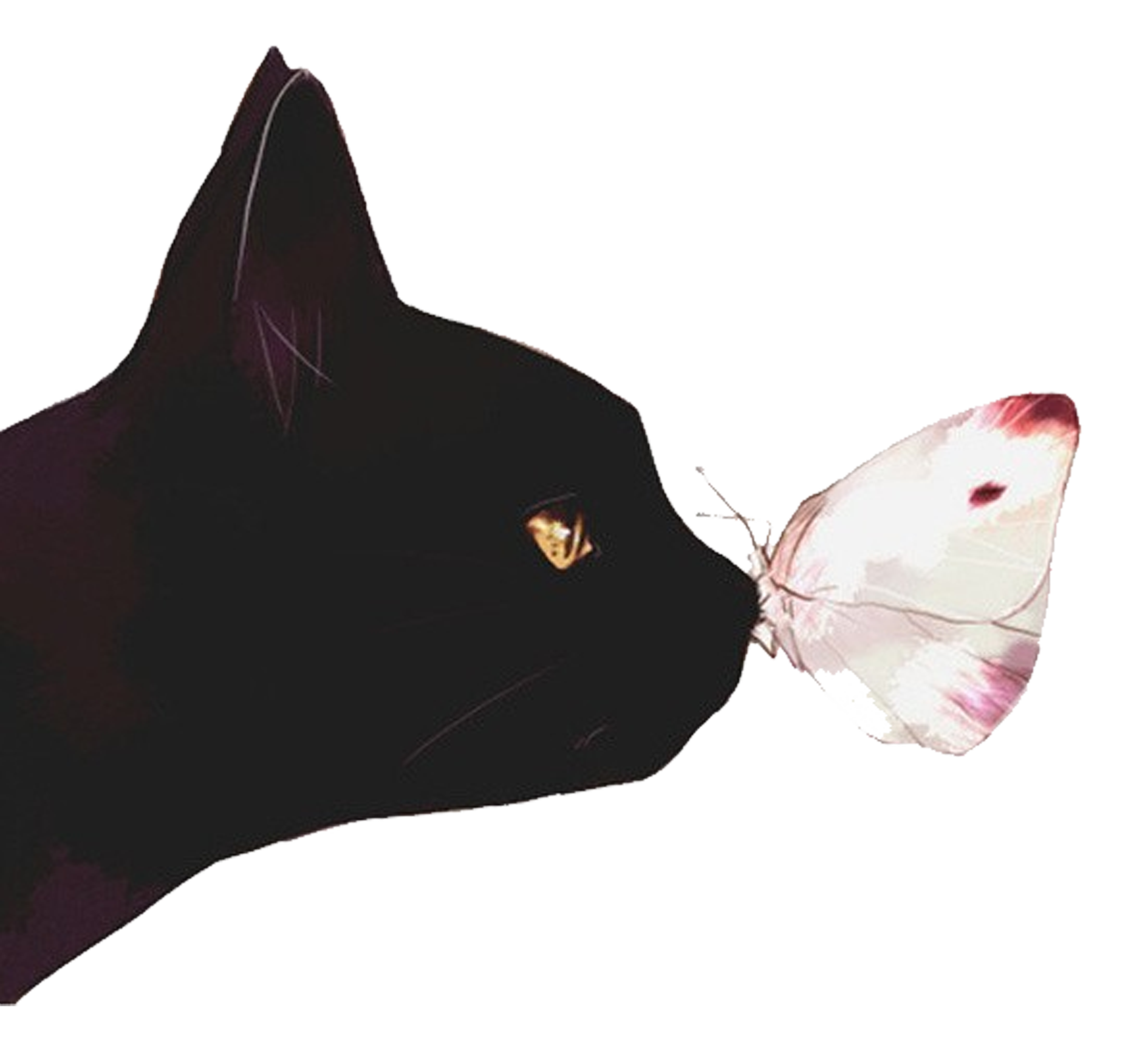 Black cat Kitten Butterfly Illustration - Cat and butterfly png