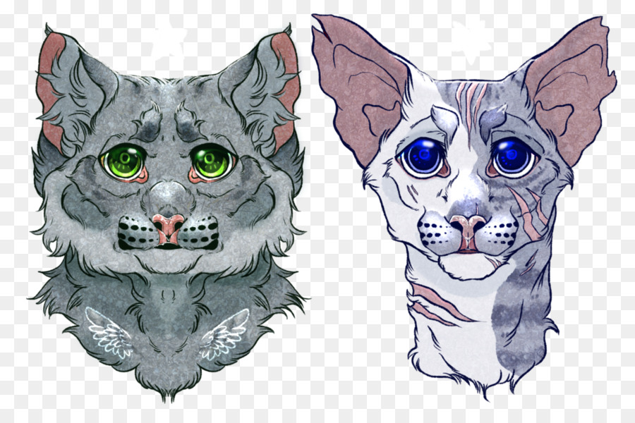 Whiskers Kitten Drawing Snout - kitten png download - 1280*826 - Free Transparent Whiskers png Download.