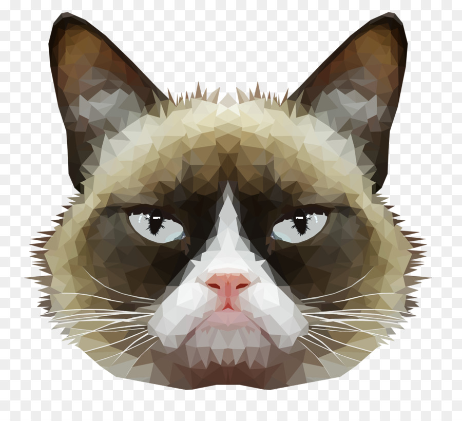 American Wirehair Grumpy Cat Whiskers Domestic short-haired cat Mouse - cats png download - 1185*1064 - Free Transparent American Wirehair png Download.