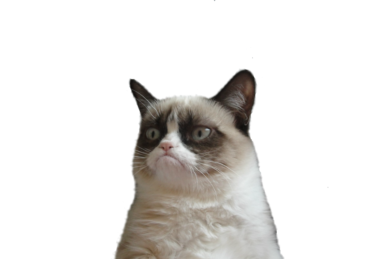 Grumpy Cat Snowshoe cat Manx cat Clip art - cat face png download