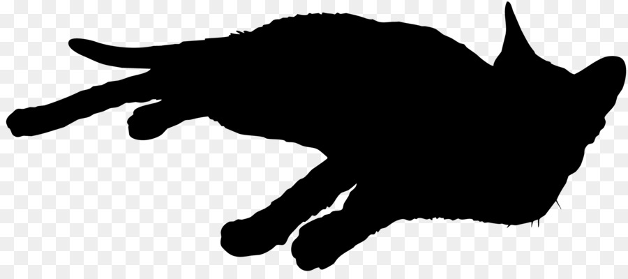 Black cat Whiskers Silhouette Sticker - cat footprints png download - 3840*1683 - Free Transparent Black Cat png Download.