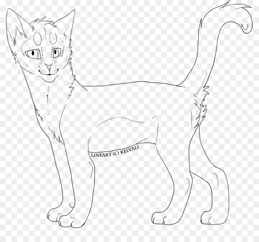 Cat Line art Drawing - Lineart png download - 934*856 - Free Transparent Cat png Download.