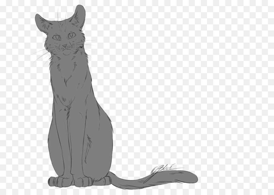 Cat Whiskers Line art Drawing - Cat png download - 1061*752 - Free Transparent Cat png Download.