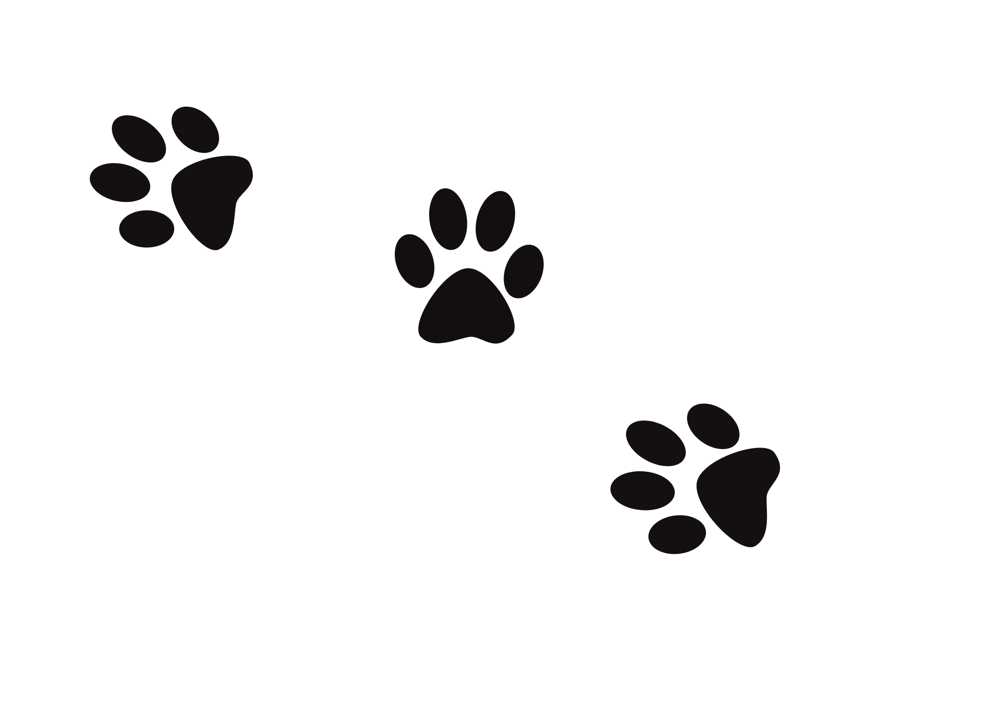 Dog Cat Paw Footprint Clip art Dog Prints png download 1980*1440