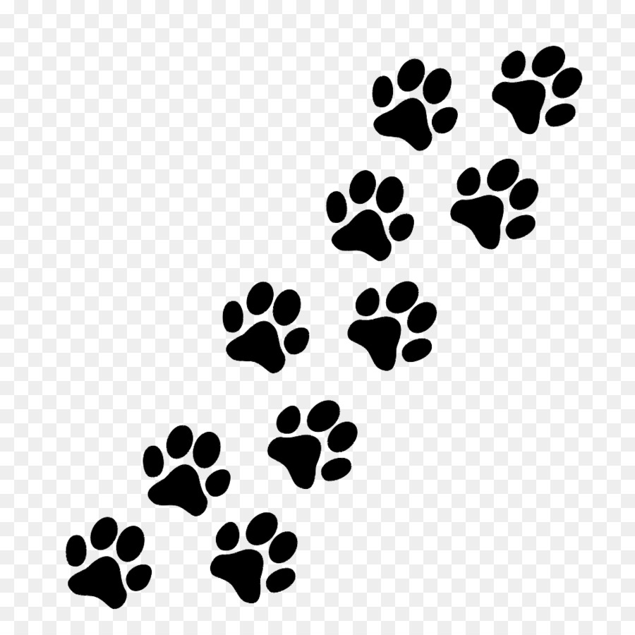 Paw Puppy Cat Pug Clip art - foot prints png download - 1000*1000 - Free Transparent Paw png Download.