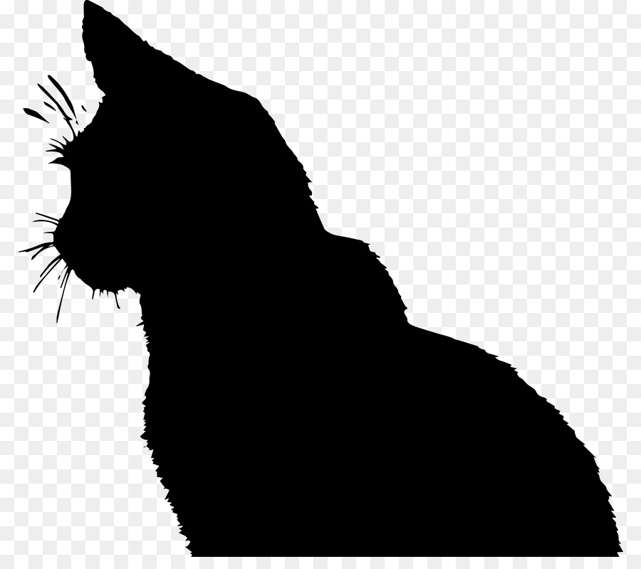 Cat Online chat Clip art - cartoon notes png download - 850*783 - Free Transparent Cat png Download.