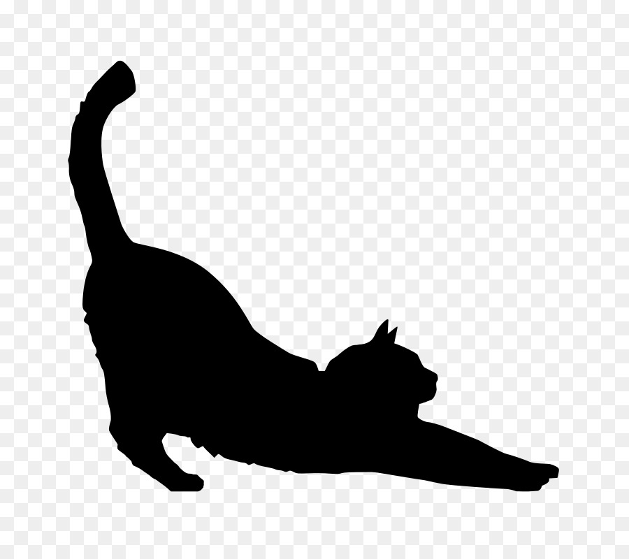 Black cat Silhouette Kitten Clip art - stretching copywriting background png download - 800*800 - Free Transparent Cat png Download.