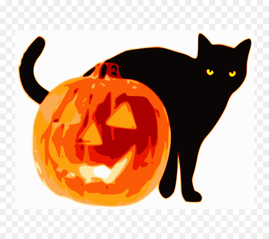 Jack-o-lantern Halloween Pumpkin Clip art - Halloween Cat Pics png download - 800*800 - Free Transparent Jackolantern png Download.
