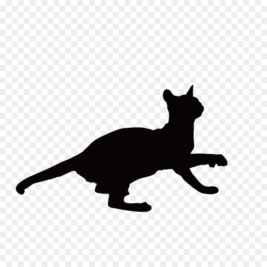 Black cat Kitten Whiskers Around - Cat Silhouette png download - 2083*2083 - Free Transparent Black Cat png Download.