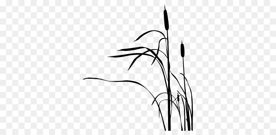 Cattail Drawing Silhouette - journal tail footer line png download - 707*440 - Free Transparent Cattail png Download.