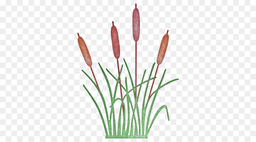 Cattail Cheery Lynn Designs Plant West Cheery Lynn Road Tulip - reeds png download - 500*500 - Free Transparent Cattail png Download.
