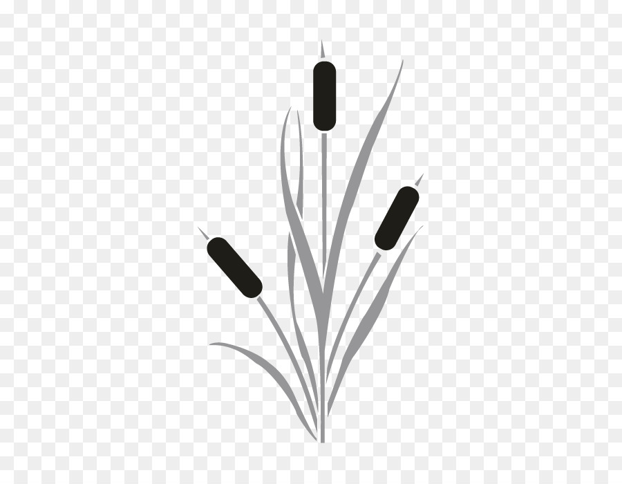 Cattail Drawing Clip art - saw png download - 696*696 - Free Transparent Cattail png Download.