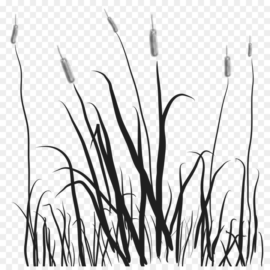 Marsh Cattail Clip art - marsh png download - 1000*987 - Free Transparent Marsh png Download.