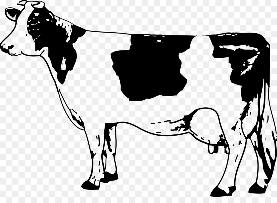 Texas Longhorn Jersey cattle Drawing Clip art - clarabelle cow png download - 1920*1366 - Free Transparent Texas Longhorn png Download.
