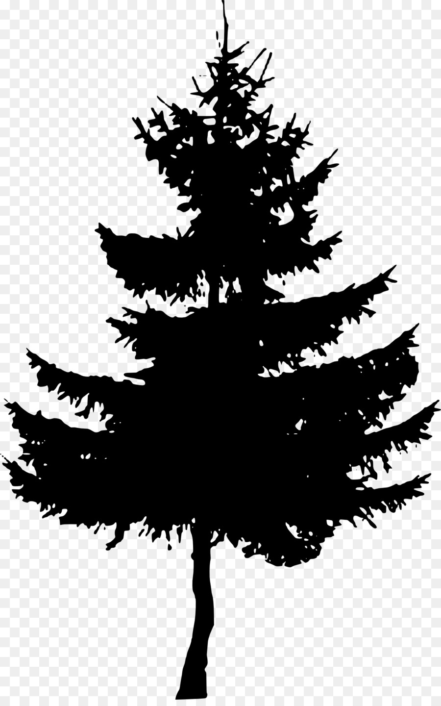 Collection of Cedar Tree Silhouette (24) .