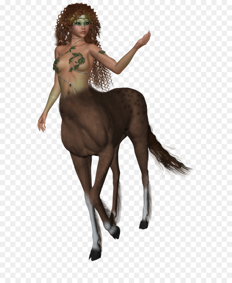 Centaurides Greek mythology Clip art - Female Centaur PNG Transparent Images png download - 738*1082 - Free Transparent Centaur png Download.