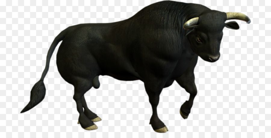 Cattle Charging Bull Clip art - bull png download - 768*444 - Free Transparent Cattle png Download.
