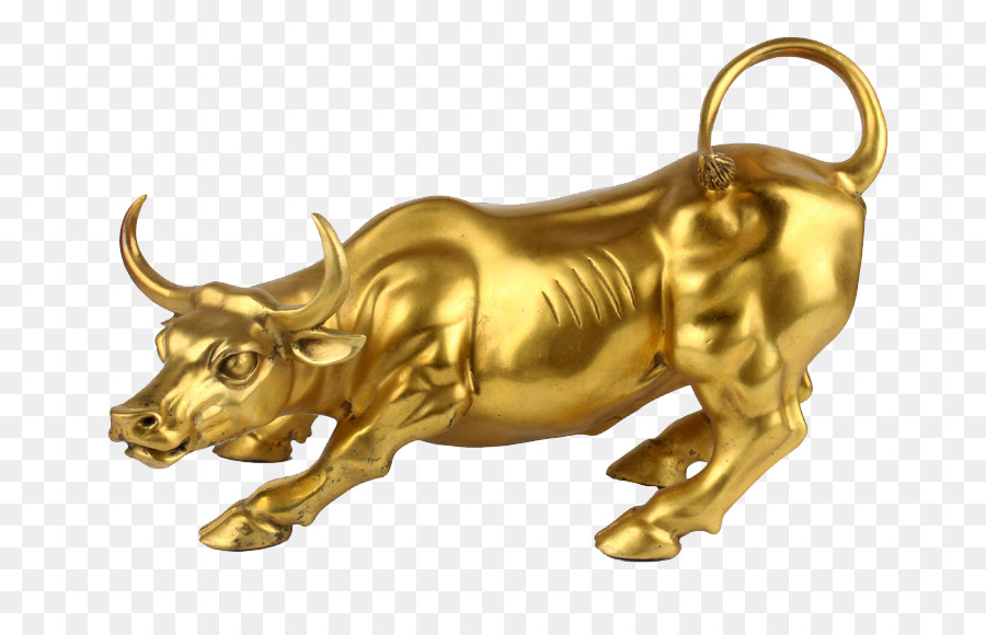 Charging Bull Cattle Ox Jewellery - Pure bull photography png download - 790*576 - Free Transparent Charging Bull png Download.