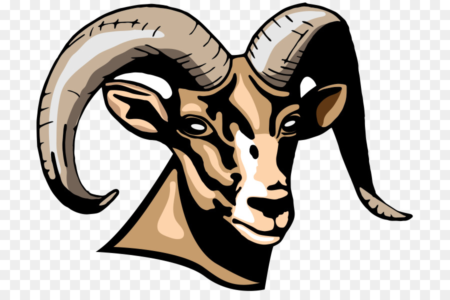 Sheep Sierra 2-8 School Billy Lane Lauffer Middle School - rams cheerleaders png download - 800*600 - Free Transparent Sheep png Download.