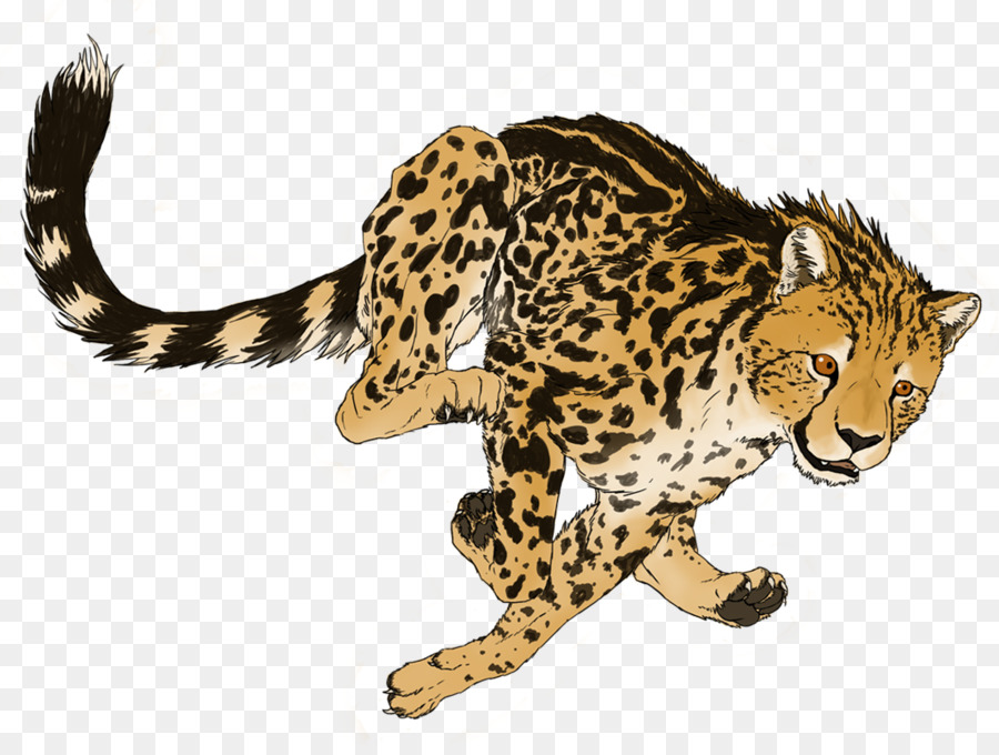 Cheetah Cat - Cheetah PNG Transparent Picture png download - 900*671 - Free Transparent Cheetah png Download.