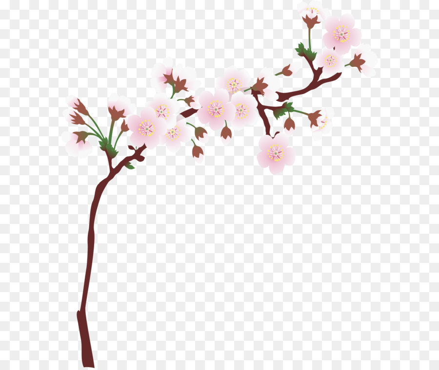 National Cherry Blossom Festival Cerasus Branch - Cherry tree branches png download - 1677*1950 - Free Transparent National Cherry Blossom Festival ai,png Download.