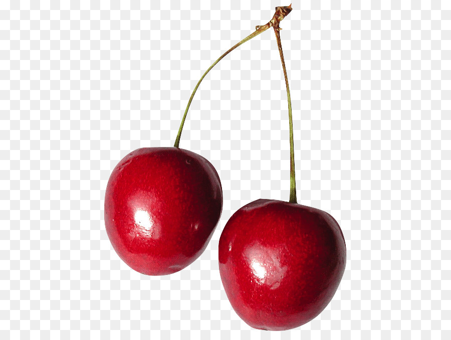 National Cherry Festival Cherry pie - cherry png download - 496*667 - Free Transparent National Cherry Festival png Download.