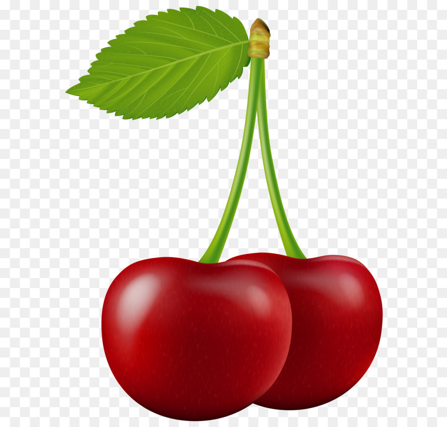 Cherry Fruit Clip art - Cherry Transparent PNG Clip Art png download - 6092*8000 - Free Transparent Cherry png Download.
