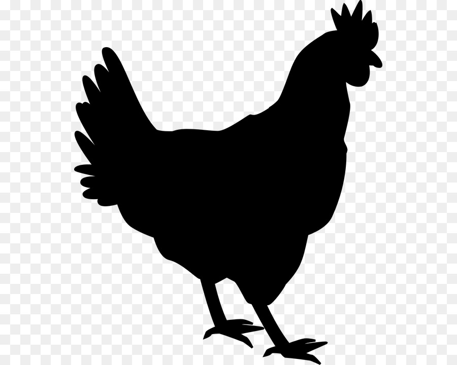 Chicken Rooster Silhouette Hen Clip art - chicken png download - 607*720 - Free Transparent Chicken png Download.