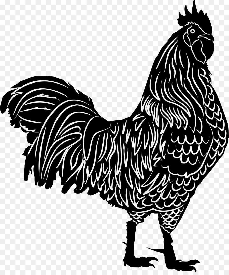 Rooster Silhouette Clip art - chicken png download - 1863*2216 - Free Transparent Rooster png Download.
