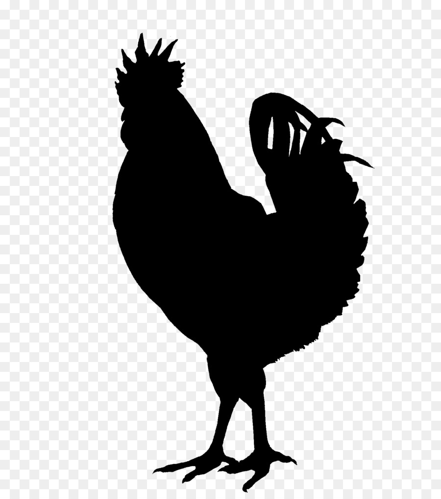 Silkie Chicken as food Clip art - Silhouette png download - 768*1007 - Free Transparent Silkie png Download.