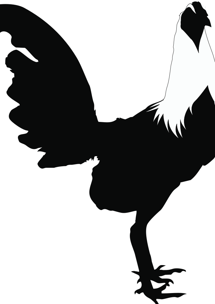 fighting rooster clipart black and white
