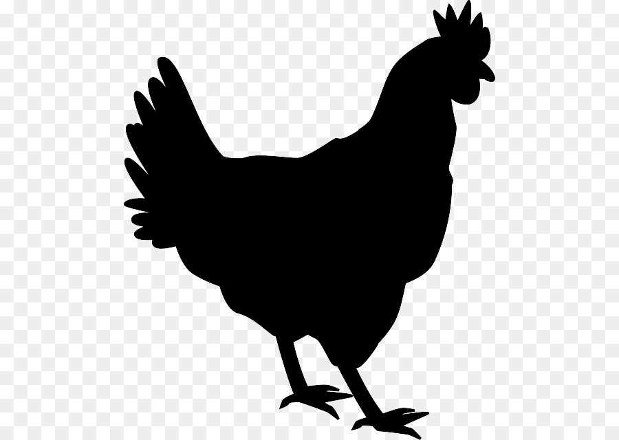 Silkie Shamo chickens Silhouette Rooster Clip art - Silhouette png download - 540*640 - Free Transparent Silkie png Download.