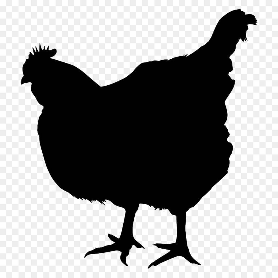 Chicken Royalty-free Stock photography - animal silhouettes png download - 1024*1024 - Free Transparent Chicken png Download.