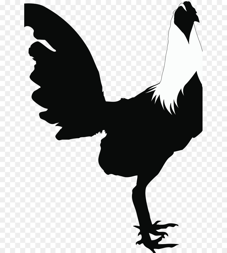 Rooster Chicken Silhouette Black and white Clip art - chicken png download - 707*1000 - Free Transparent Rooster png Download.
