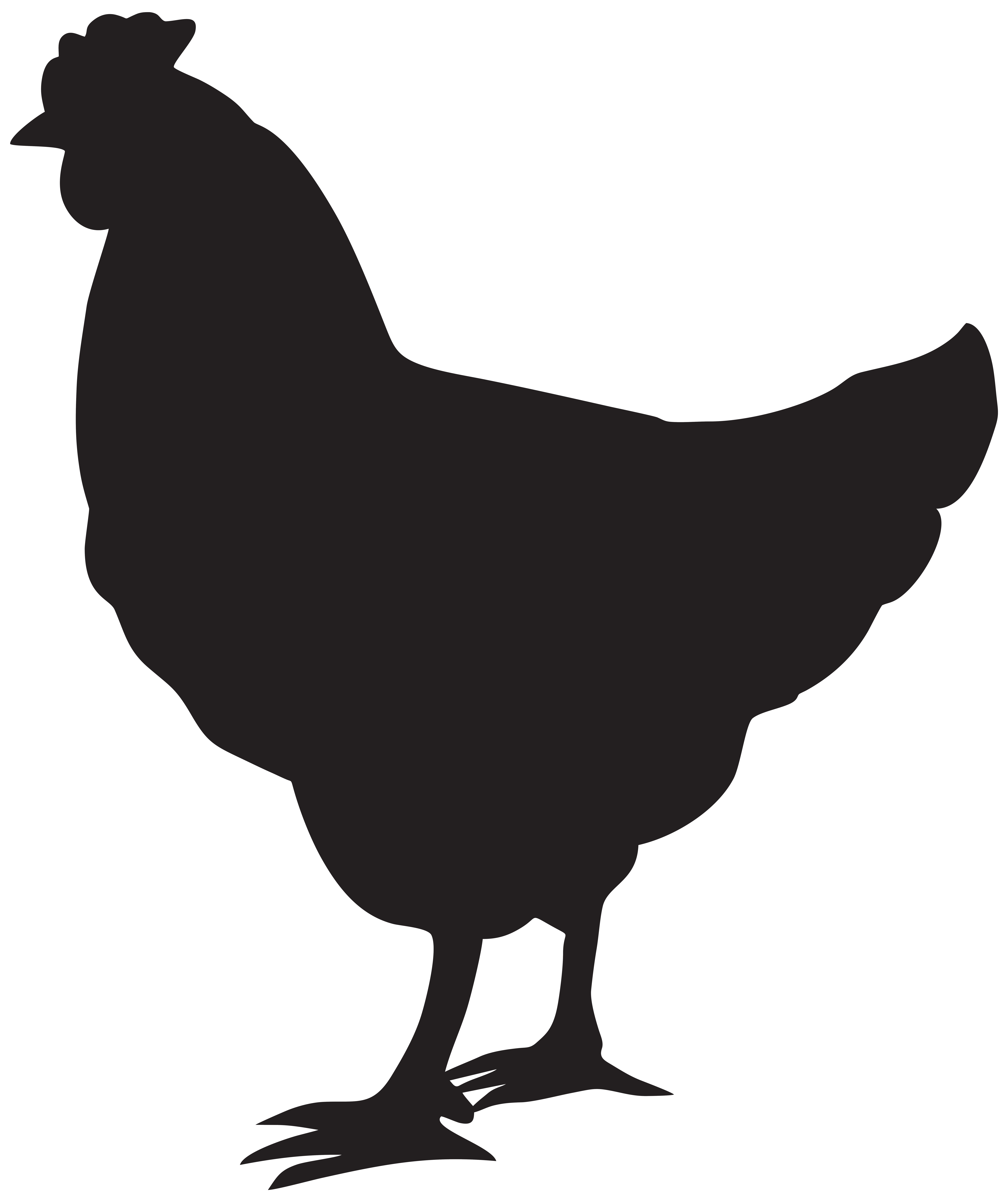 Chicken Silhouette Rooster Clip art - Hen Silhouette PNG Clip Art Image png download - 6709*8000