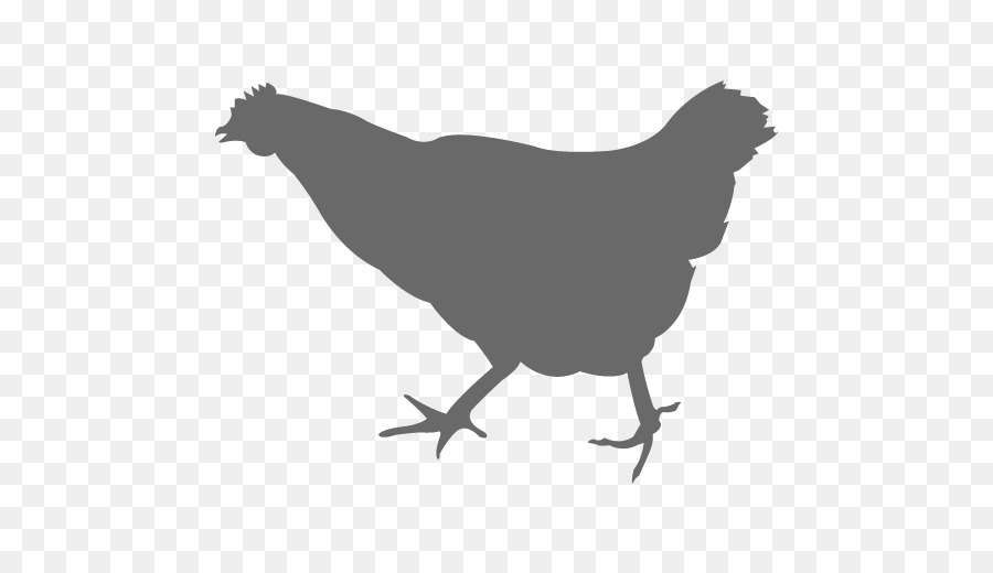 Chicken Vector graphics Silhouette The Broad - chicken png download - 512*512 - Free Transparent Chicken png Download.