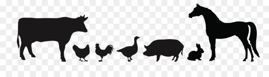 Chicken Duck Silhouette Cattle - silhouette poultry png download - 3600*968 - Free Transparent Chicken png Download.