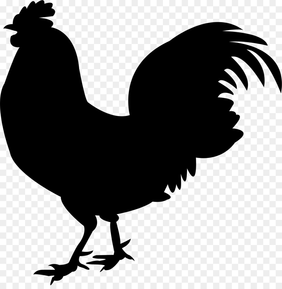 Chicken meat Silkie Rooster - rooster png download - 1718*1734 - Free Transparent Chicken Meat png Download.