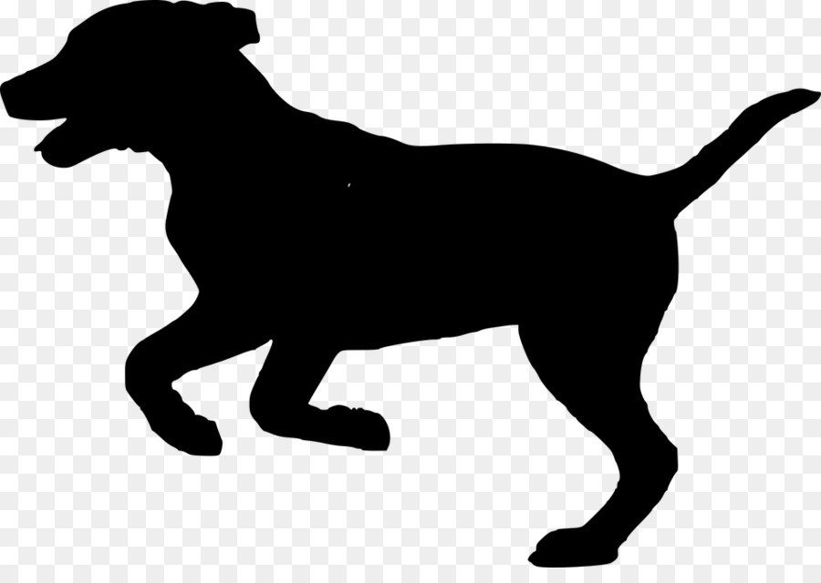 Dog park Puppy Pet Dog harness - Dog png download - 960*664 - Free Transparent Dog png Download.