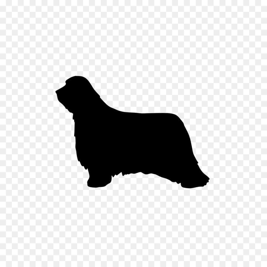 Miniature Dachshund Chihuahua Puppy Clip art - Bearded Collie png download - 1260*1260 - Free Transparent Dachshund png Download.