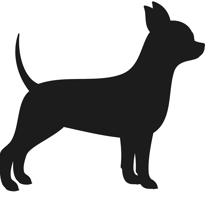 Chihuahua Cairn Terrier Silhouette Breed - chihuahua png download - 800