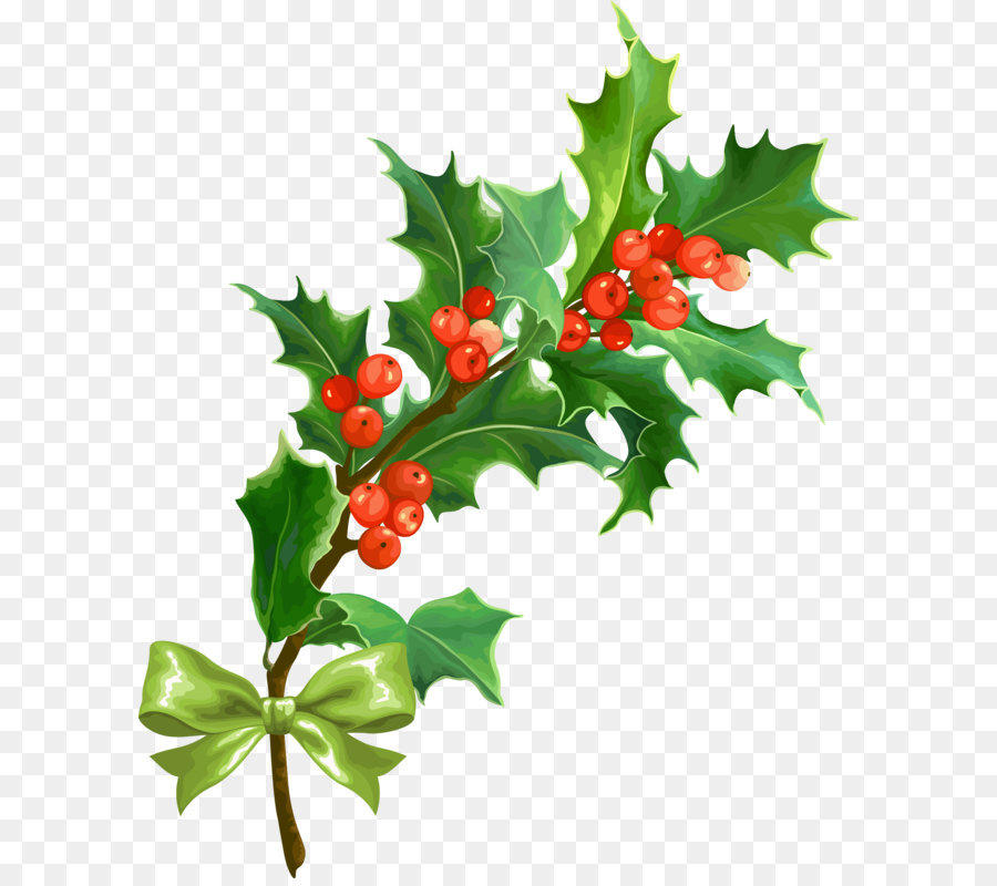 Christmas Holly Leaf - Creative Christmas png download - 1748*2132 - Free Transparent Christmas  ai,png Download.