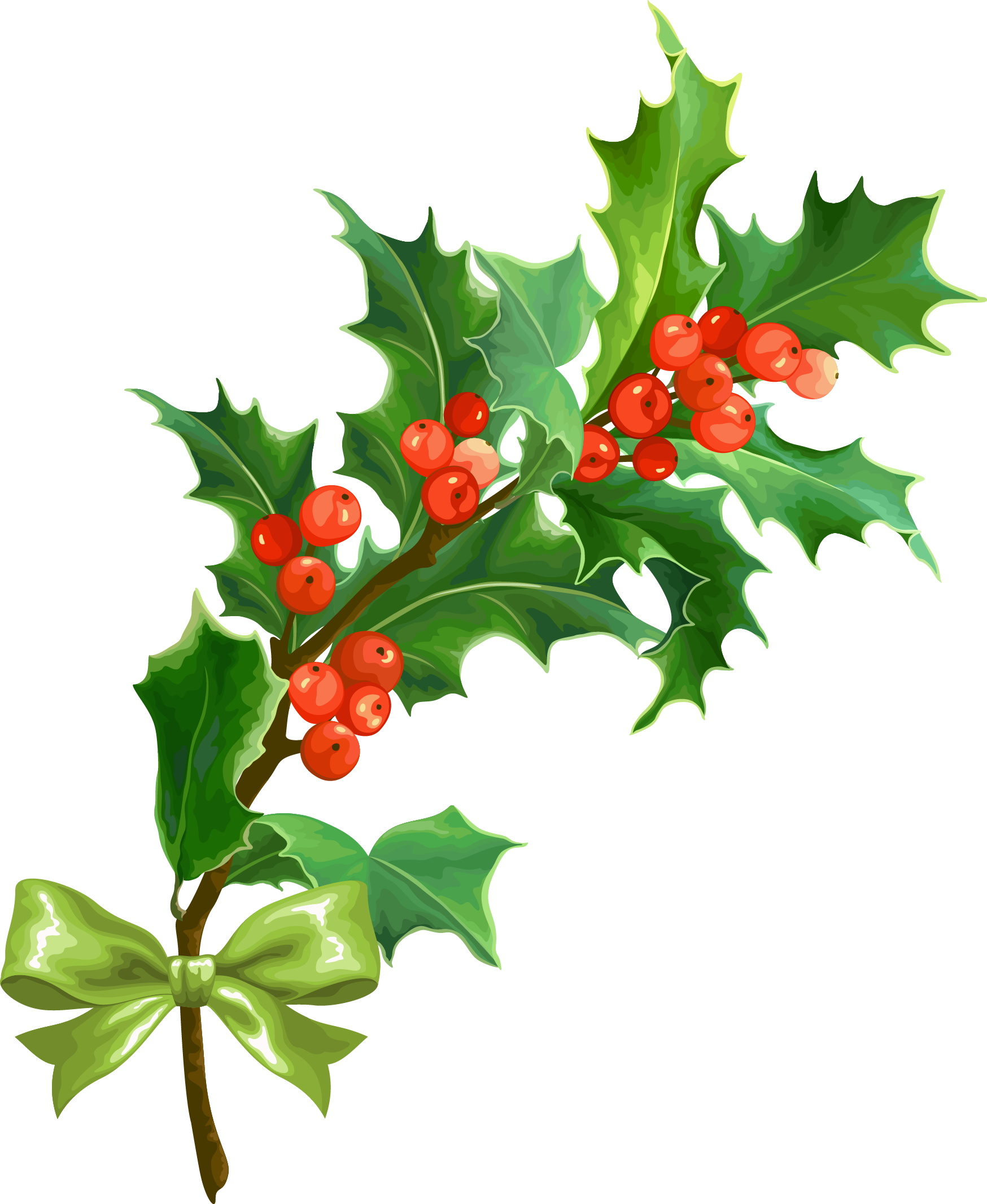 christmas-holly-leaf-creative-christmas-png-download-1748-2132